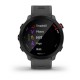 Garmin 010-02562-13 Relojes inteligentes y deportivos MIP 42 mm Gris GPS (satélite)