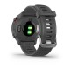 Garmin 010-02562-13 Relojes inteligentes y deportivos MIP 42 mm Gris GPS (satélite)