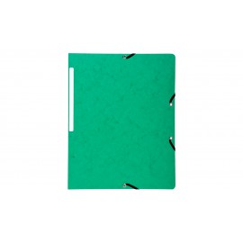 Exacompta 55413E carpeta Verde A4