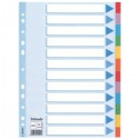 Esselte Multi-coloured Cardboard Dividers divisor 10 pieza(s)