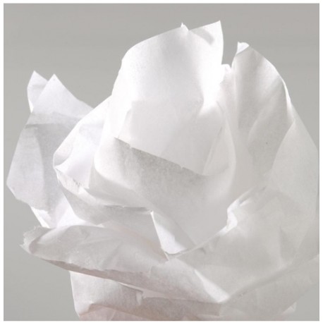 Canson C200992659 papel crepe Blanco