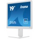 iiyama ProLite B1980D-W5 pantalla para PC 48,3 cm (19'') 1280 x 1024 Pixeles SXGA LCD Blanco