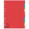 Esselte Multicoloured Card Dividers divisor Multicolor 1 pieza(s)