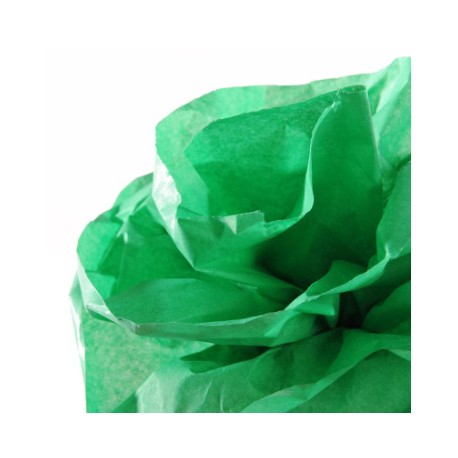 Canson C200992666 papel crepe Verde