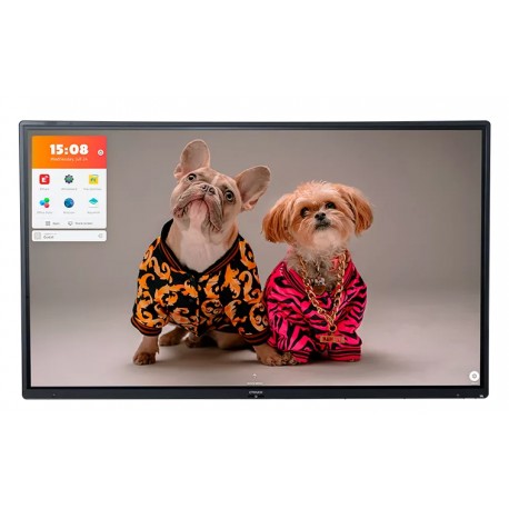 CTOUCH Riva R2 pizarra y accesorios interactivos 139,7 cm (55'') 3840 x 2160 Pixeles Pantalla táctil Negro USB