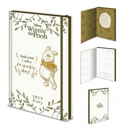 Diario pyramid 2023 winnie the pooh  friendly day