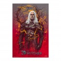 Poster the witcher 2 gerald de rivia