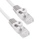 Phasak Cable de Red Cat.6 UTP Solido CCA Cat.6 UTP Gris 0.50M