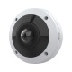 Axis M4317-PLVE Almohadilla Cámara de seguridad IP Interior 2160 x 2160 Pixeles Techo/pared