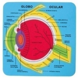 GOMA EVA FIXO PUZZLE 21x21 SISTEMA OCULA