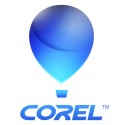 Corel CASLL2STD3Y licencia y actualización de software 3 año(s)