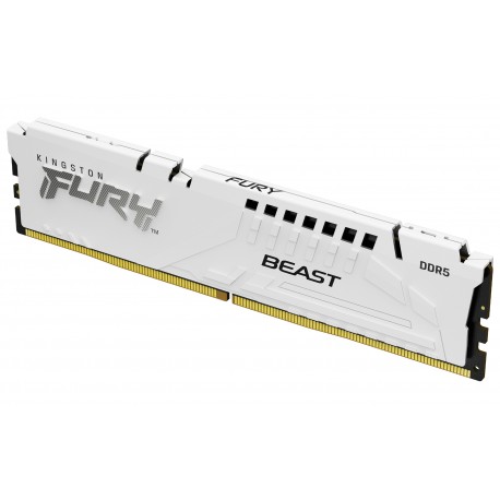 Kingston Technology FURY Beast módulo de memoria 16 GB 1 x 16 GB DDR5