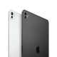 Apple iPad Pro 5G Apple M TD-LTE & FDD-LTE 512 GB 33 cm (13'') 8 GB Wi-Fi 6E (802.11ax) iPadOS 17 Plata