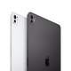 Apple iPad Pro Apple M 256 GB 33 cm (13'') 8 GB Wi-Fi 6E (802.11ax) iPadOS 17 Negro