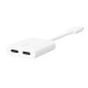 Belkin F7U081BTWH hub de interfaz USB Tipo C Blanco