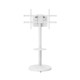 Ewent EW1550 soporte para TV 2,18 m (86'') Blanco