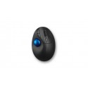 Kensington Pro Fit Ergo TB450 ratón Oficina mano derecha RF Wireless + Bluetooth Trackball 1600 DPI