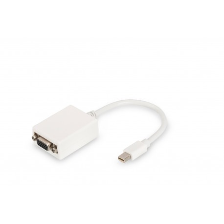 DIGITUS - Digitus Cable adaptador DisplayPort - 4016032292456